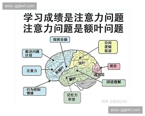 注意力经济向“注意力+情感连接”双轮驱动模式演进。