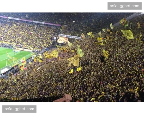 欧足联推出站席新规，多特蒙德南看台面临安全改造挑战